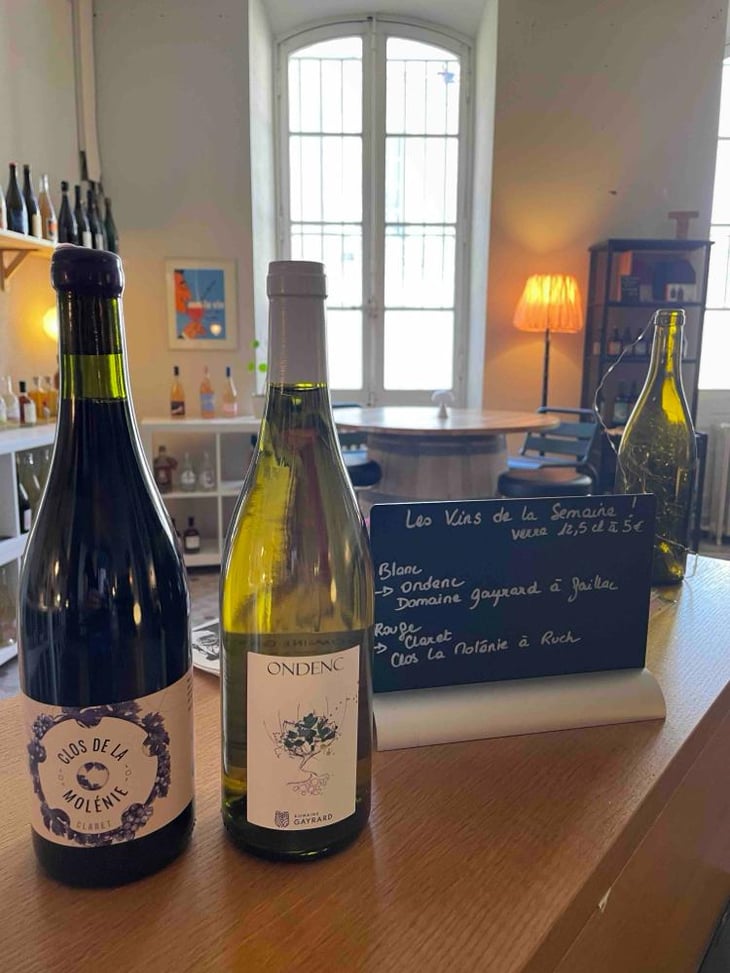 PAS DE LA COLLINE - Clos De La Molénie - Sylvain & Kim Destrieux -2020