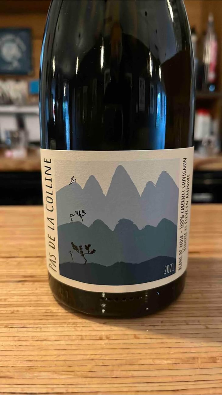 PAS DE LA COLLINE - Clos De La Molénie - Sylvain & Kim Destrieux -2020