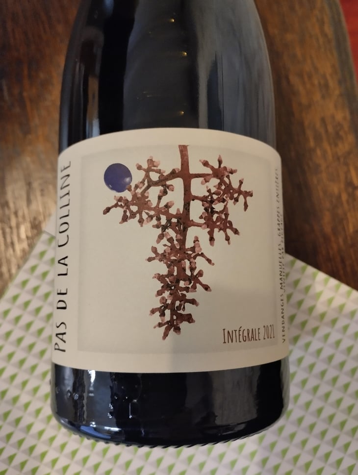 PAS DE LA COLLINE, INTEGRALE - Clos De La Molénie - Sylvain & Kim Destrieux -2021