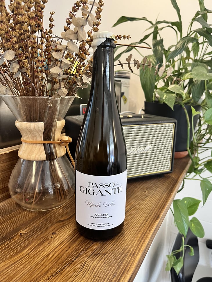 Passo gigante - Minho, Vinho Verde - Rui Oliveira e João Pires no Minho -2023