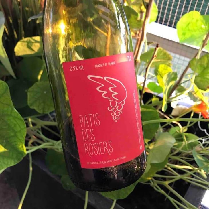 Patis des Rosiers 2015 - Le Raisin à Plume - Jacques Février -19