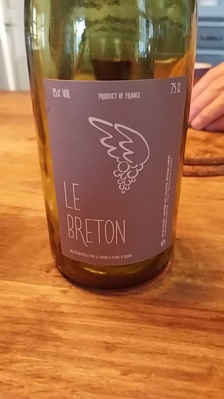 Patis des Rosiers 2015 - Le Raisin à Plume - Jacques Février -19