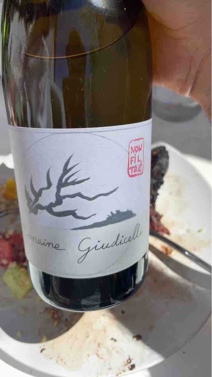 Patrimonio - Domaine Giudicelli - Muriel Giudicelli 