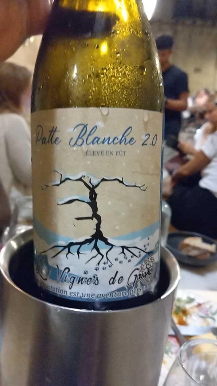 Patte blanche 2.0 - Les Vignes de Gaïa - Philippe Blatier -2022