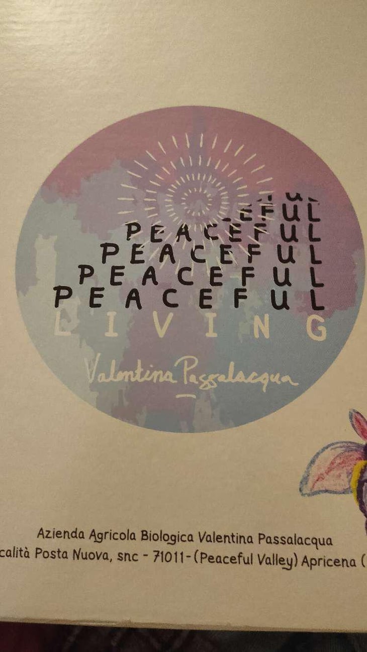 Brutal Peaceful living - Valentina Passalacqua - Valentina Passalacqua -2019