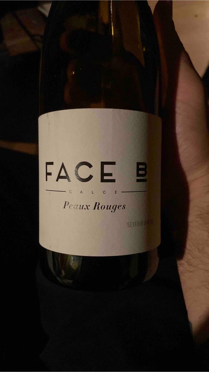 Peaux Rouges - Face B - Séverin Barioz & Mathilde Barioz - Ceccon 
