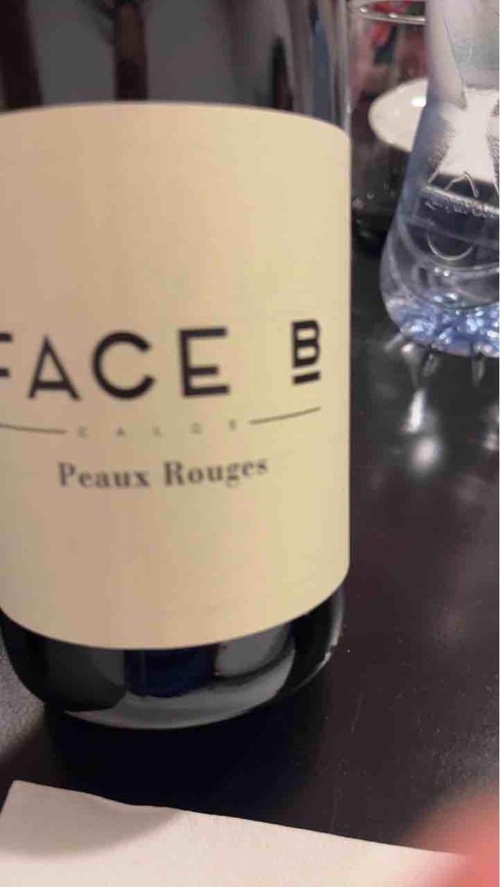 Peaux Rouges - Face B - Séverin Barioz & Mathilde Barioz - Ceccon 