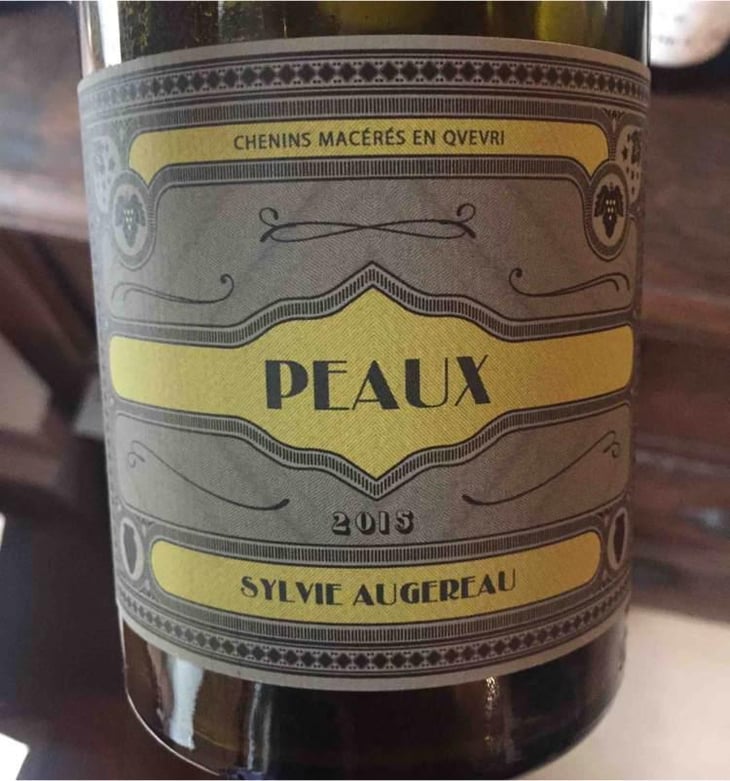 Peaux - Sylvie Augereau - Sylvie Augereau 