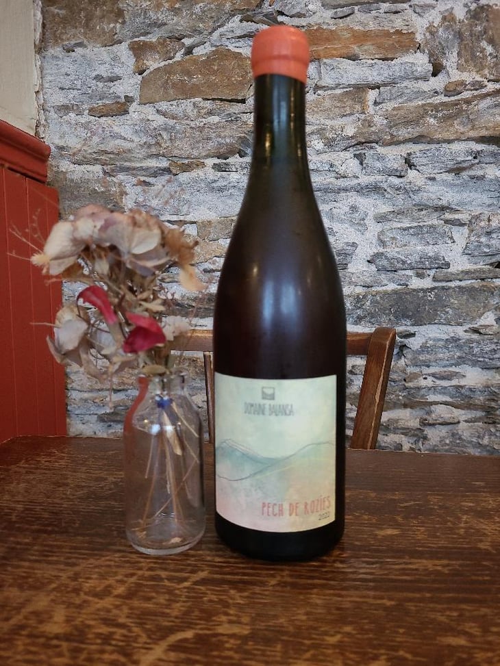 Pech De Rozies - Domaine Balansa - Céline Peyre & Alex Gressent 
