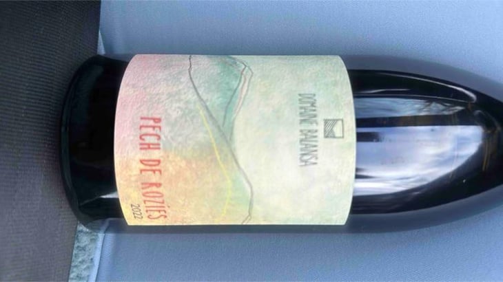 Pech De Rozies - Domaine Balansa - Céline Peyre & Alex Gressent 