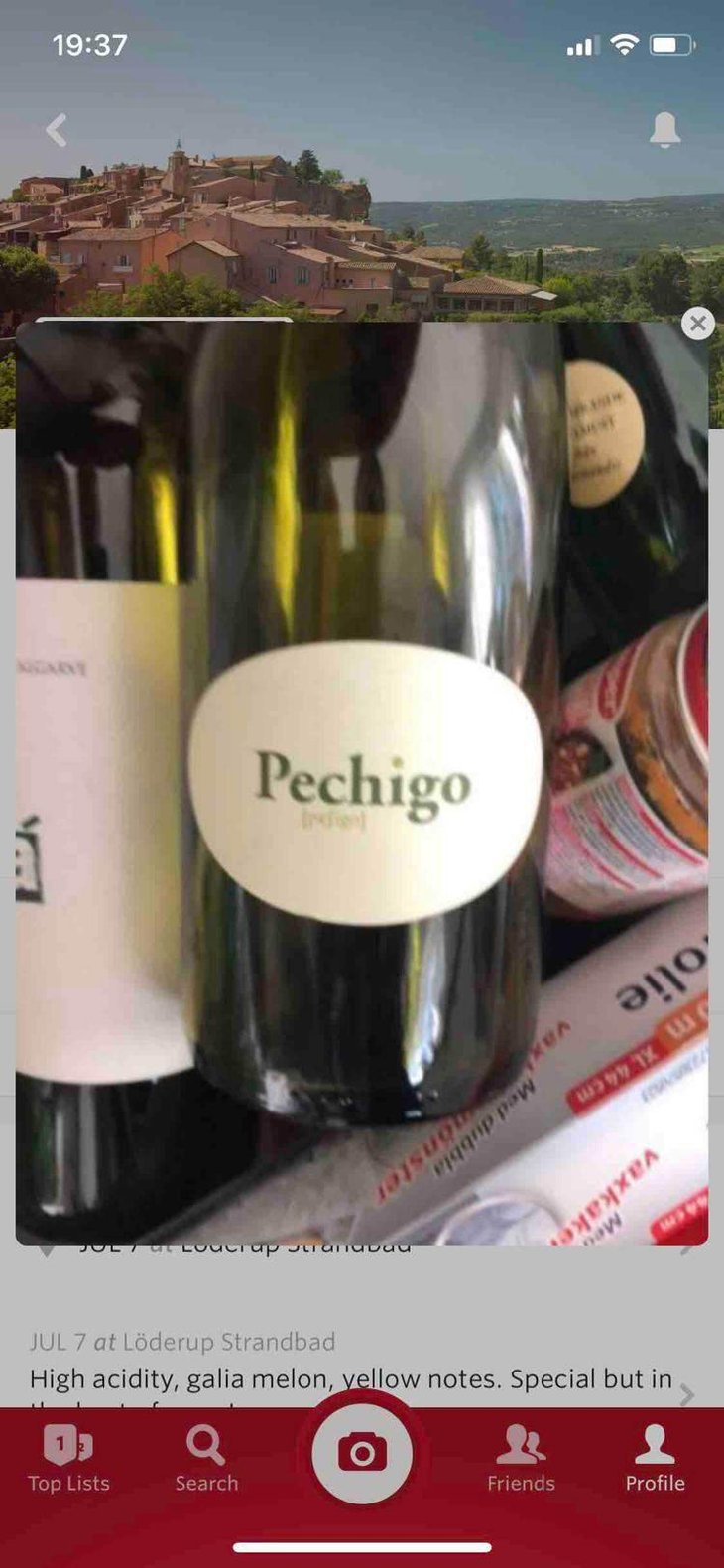 Pechigo Chenin Moelleux - Domaine Sylvain Saux - Domaine Sylvain Saux 