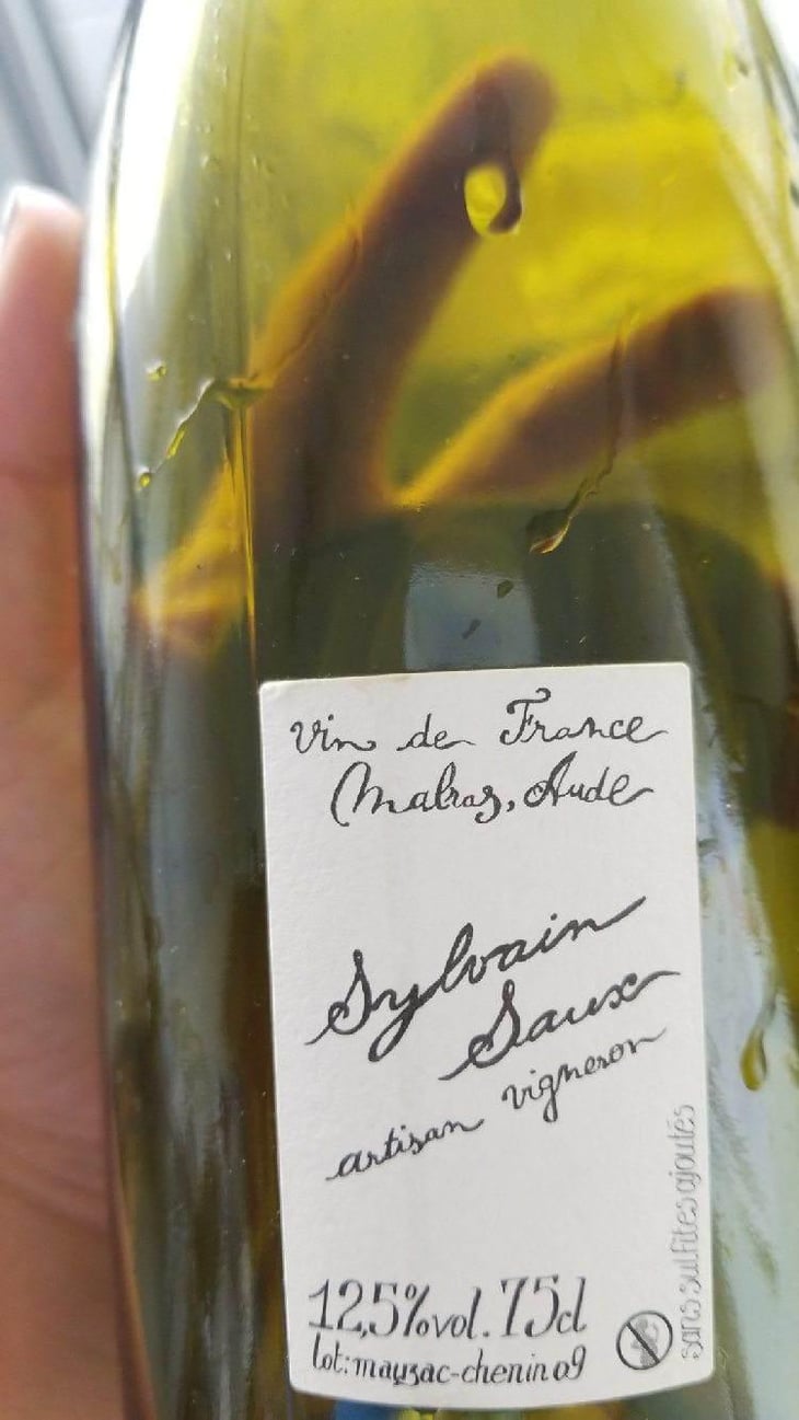 Pechigo Chenin Moelleux - Domaine Sylvain Saux - Domaine Sylvain Saux 