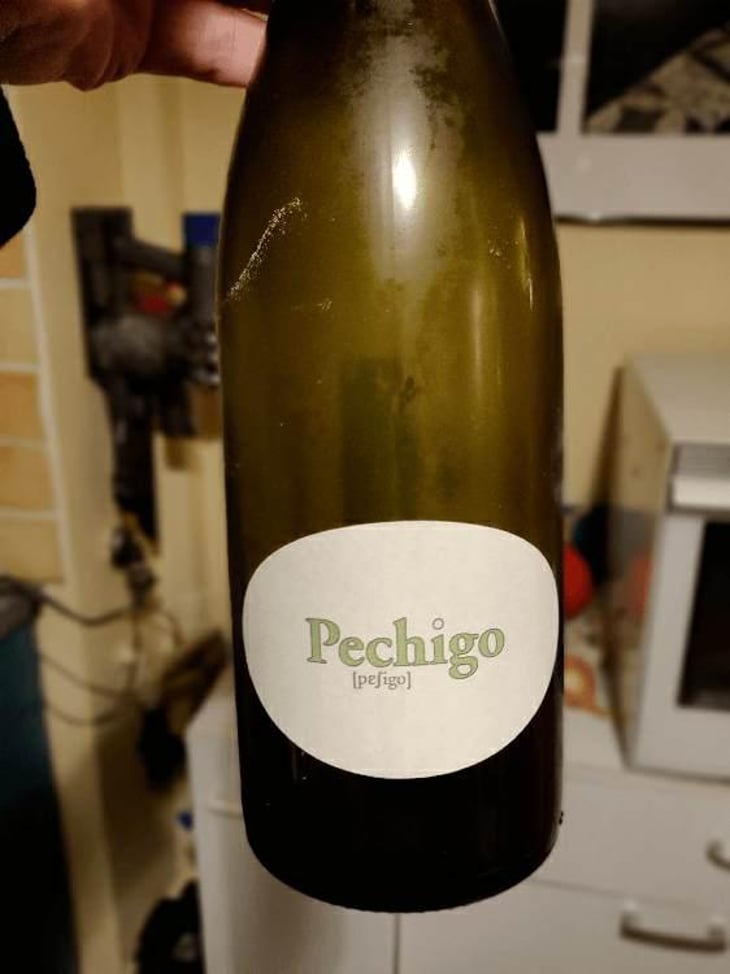 Pechigo Chenin Moelleux - Domaine Sylvain Saux - Domaine Sylvain Saux 