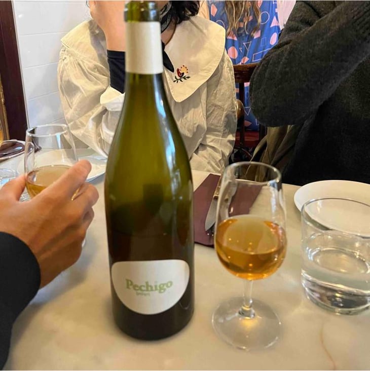 Pechigo Blanc - Domaine Sylvain Saux - Domaine Sylvain Saux 