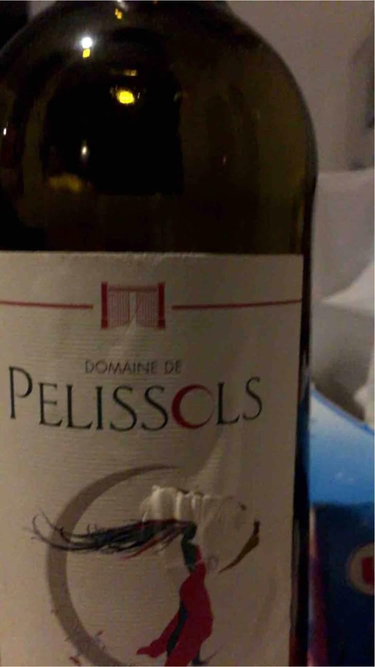 Pelissols Blanc - Domaine de Pélissols - Vincent Bonnal 