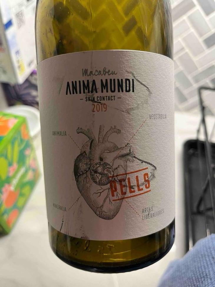 Pells - Anima Mundi - Agustí Torelló Roca 