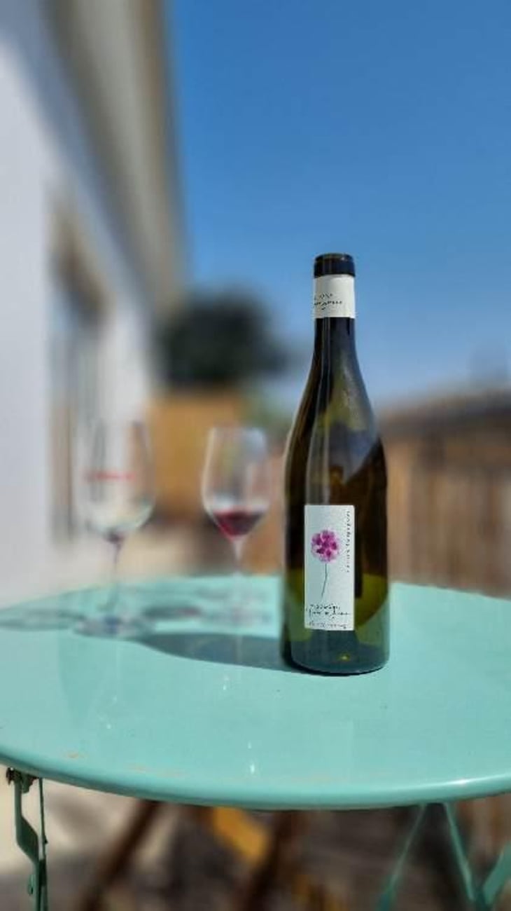 Pensée Sauvage - Domaine Dame Jeanne - Jeanne Piollot -2018