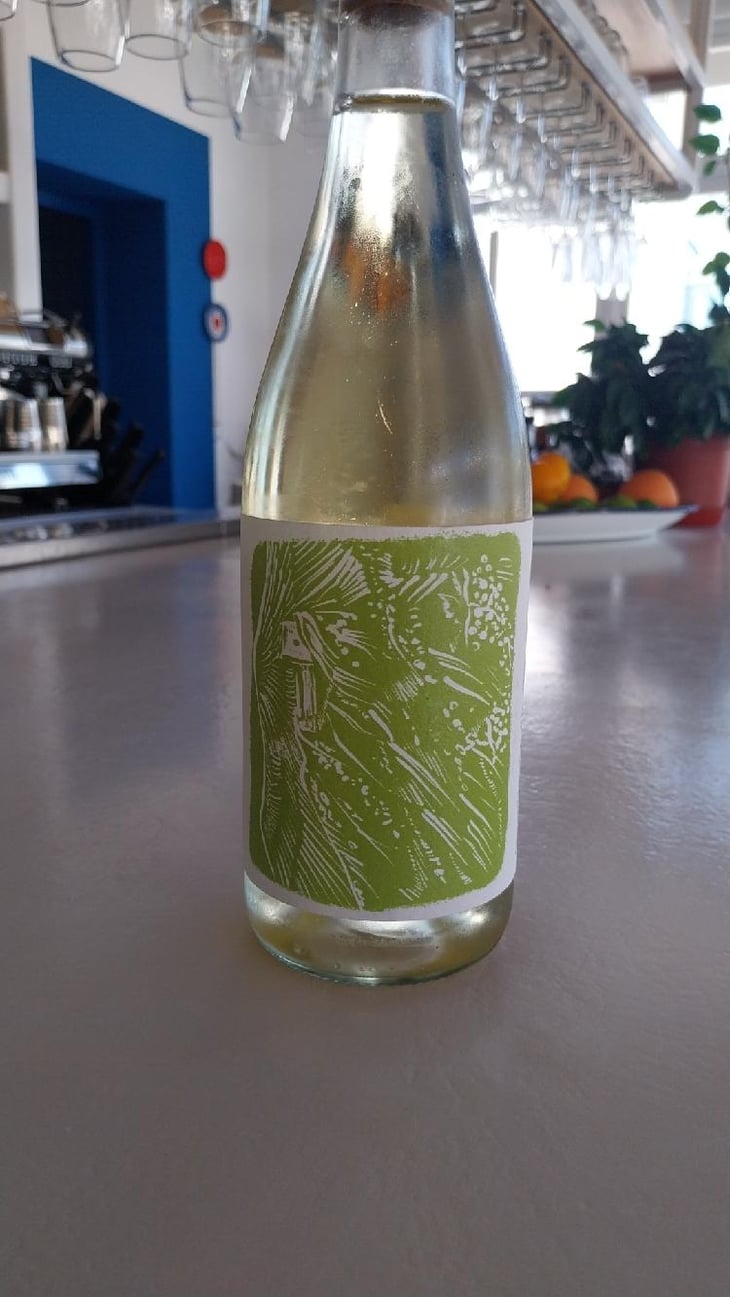 Penteskoufi - Kontogiannis Vineyard - Kontogiannis Family -2021