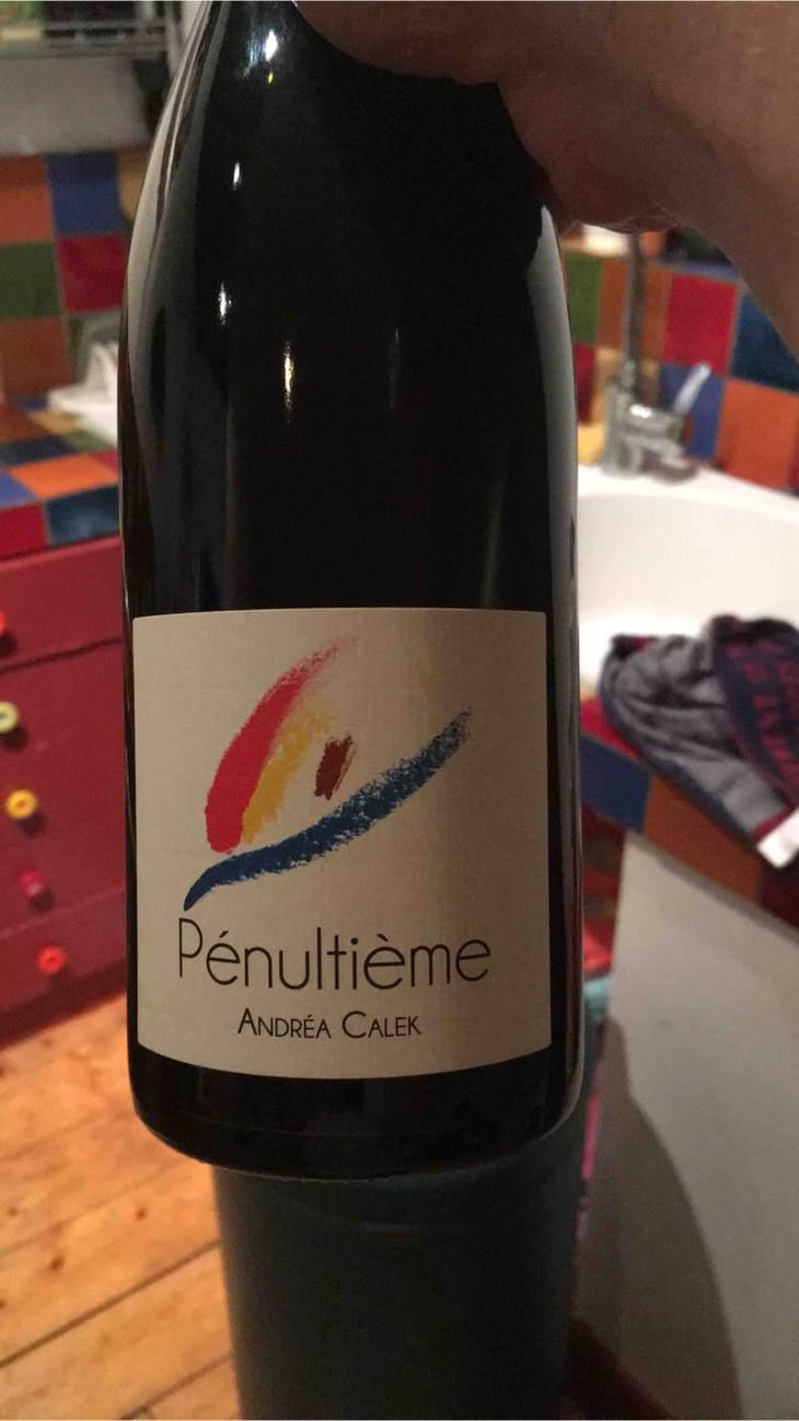 Pénultième - Andrea Calek - Andrea Calek et Stephana Nicolescu 