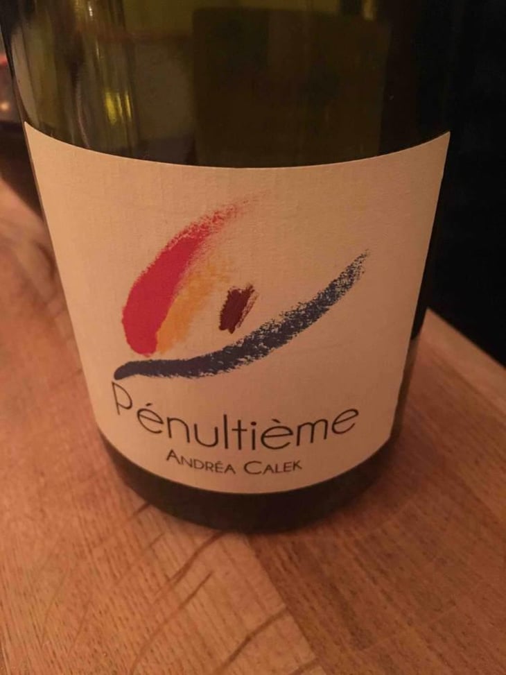 Pénultième - Andrea Calek - Andrea Calek et Stephana Nicolescu 