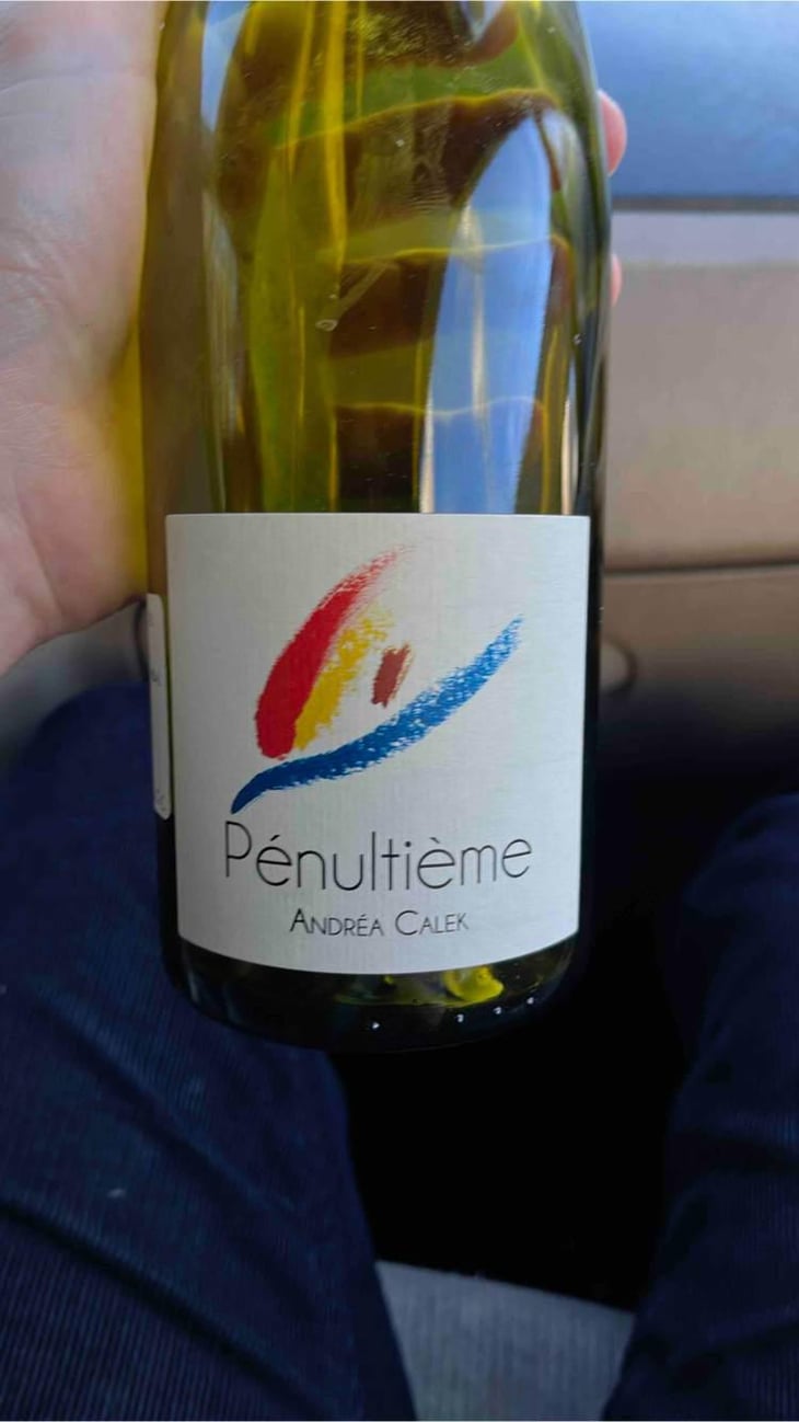 Pénultième - Andrea Calek - Andrea Calek et Stephana Nicolescu 