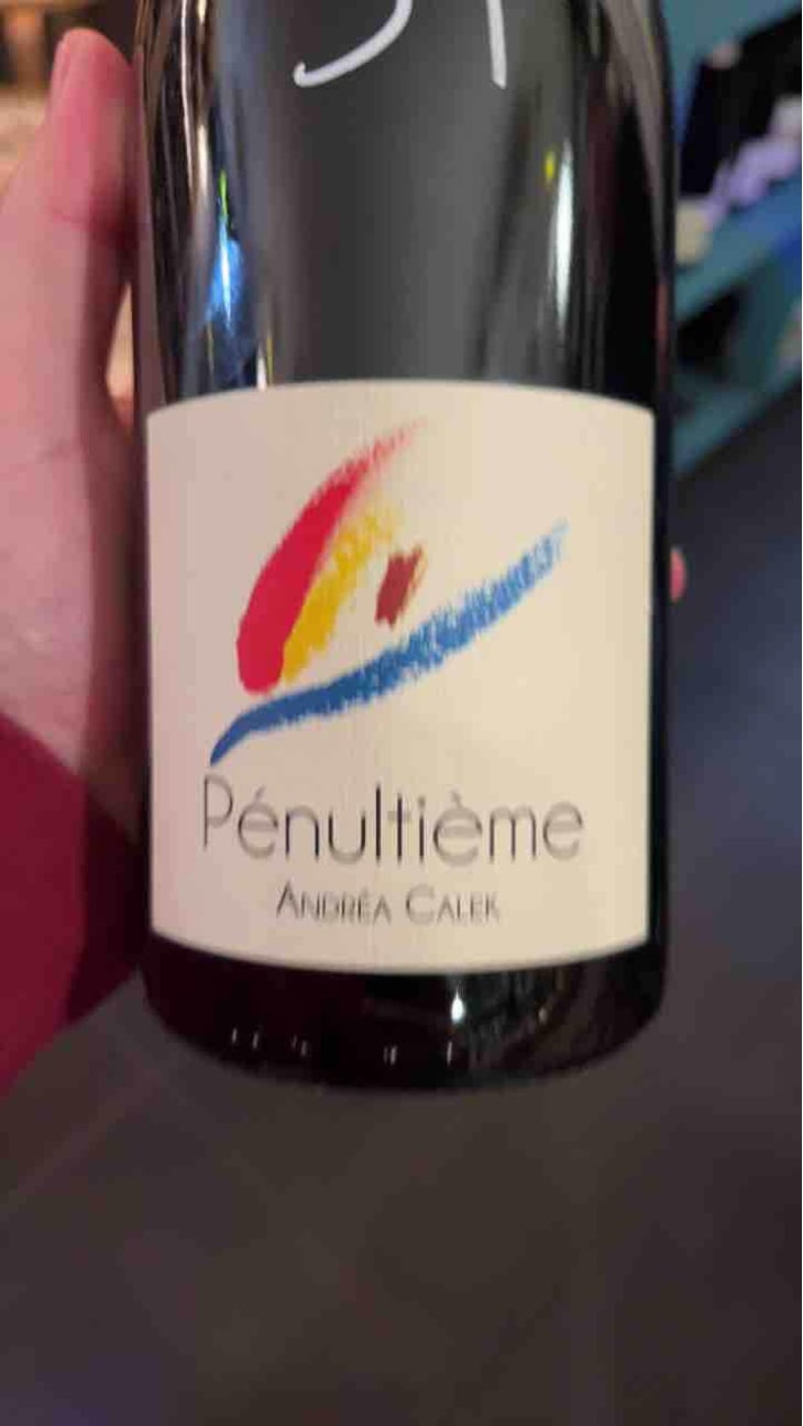 Pénultième - Andrea Calek - Andrea Calek et Stephana Nicolescu 