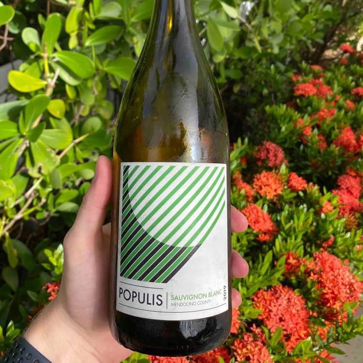 Populis - Les Lunes Wine / Populis Wine - Shaunt Oungolian & Diego Roig 