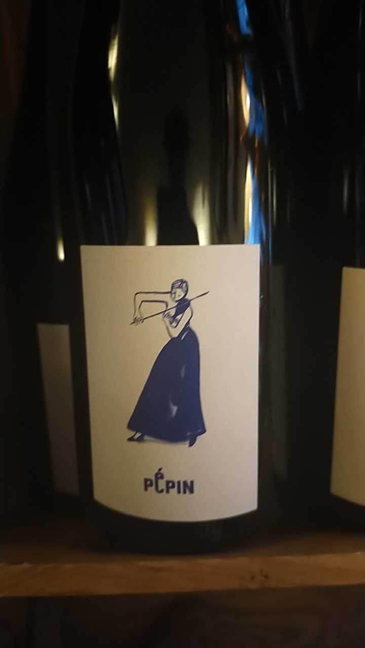 Pépin Rouge (Violon) - Pépin Vin - Jean Dietrich, Pierre Dietrich, Sarah Hilzendeger, Pierre Sanchez, et Xavier Couturier 