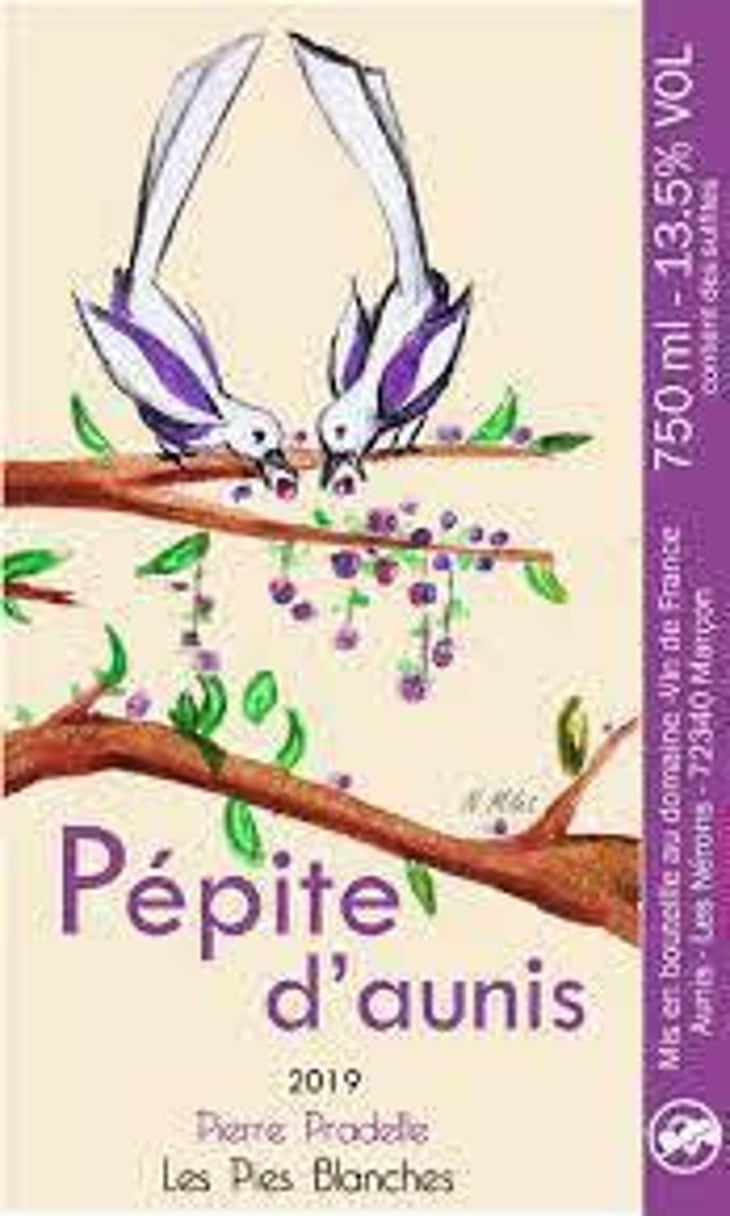 Pépite D’Aunis - Domaine des Pies Blanches - Pierre Pradelle 