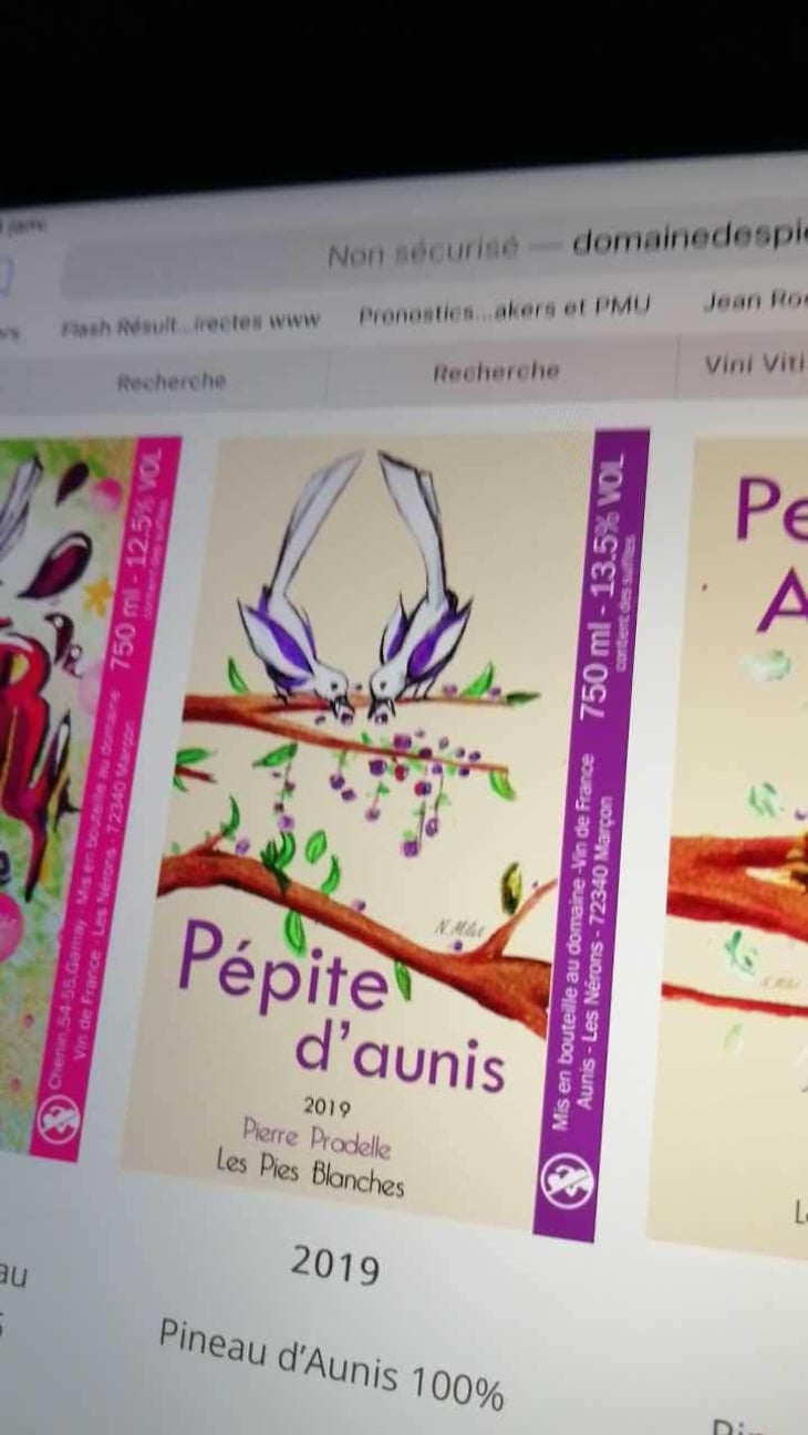 Pépite D’Aunis - Domaine des Pies Blanches - Pierre Pradelle 