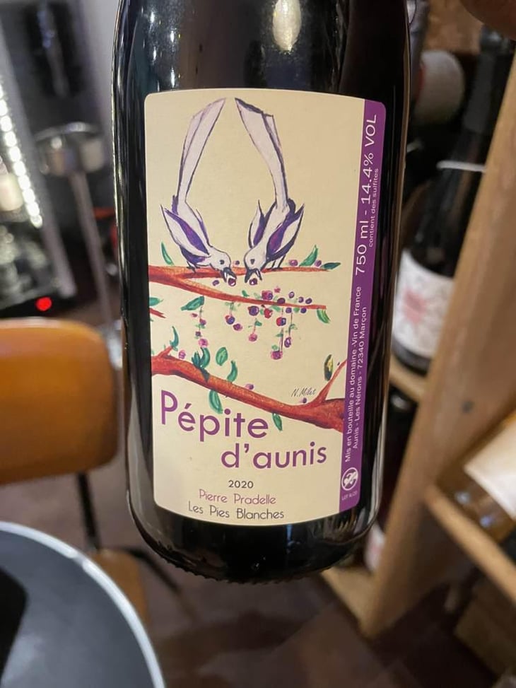Pépite D’Aunis - Domaine des Pies Blanches - Pierre Pradelle 