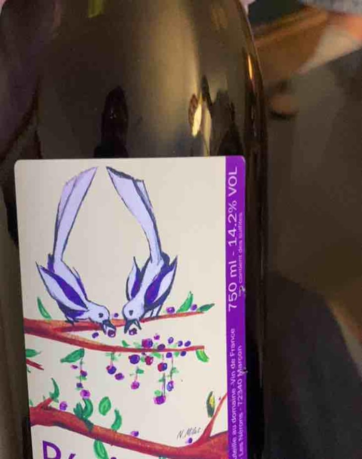 Pépite D’Aunis - Domaine des Pies Blanches - Pierre Pradelle 