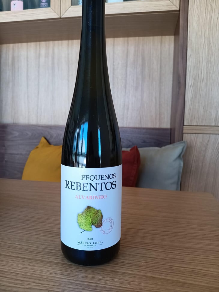 Pequenos Rebentos - Márcio Lopes - Márcio Lopes -2018