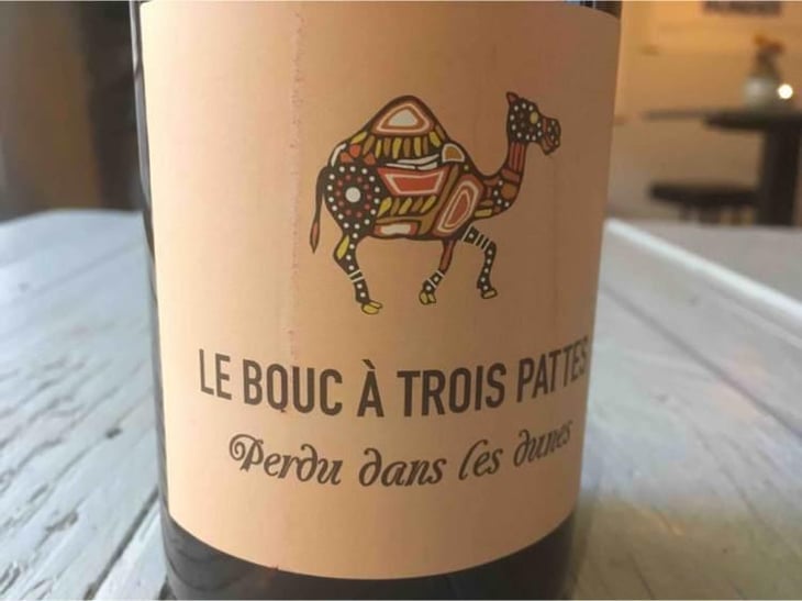 Perdu Dans Les Dunes - Le Bouc à Trois Pattes - Wim Wagemans 