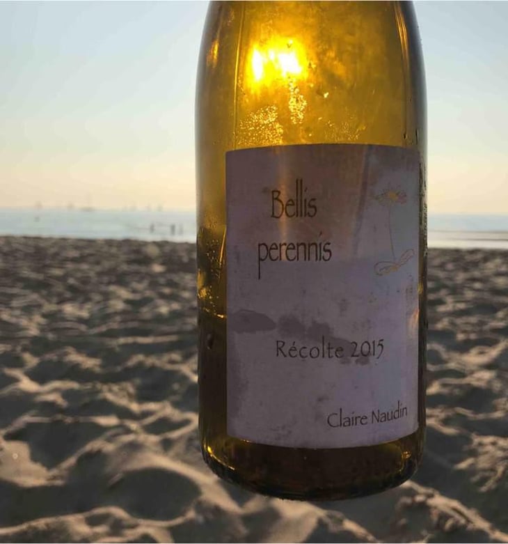 Bellis Perennis - Domaine Henri Naudin-Ferrand - Claire Naudin 