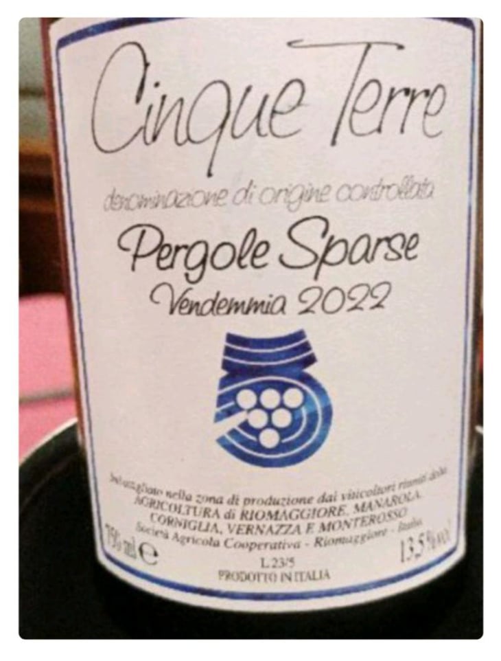 Pergole sparse - Cantina Cinque Terre - Società agricola cooperativa Riomaggiore -2022