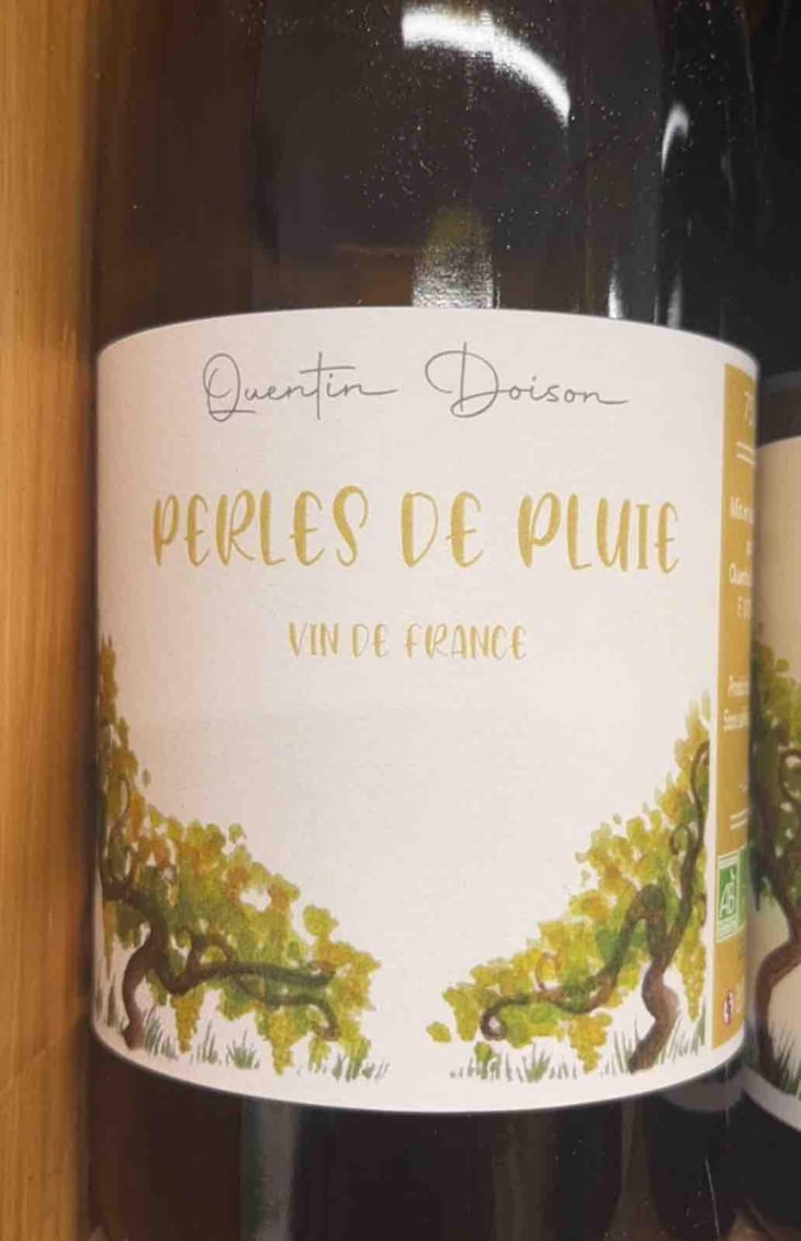 Perles de pluie - Quentin doison - Quentin doison -2022