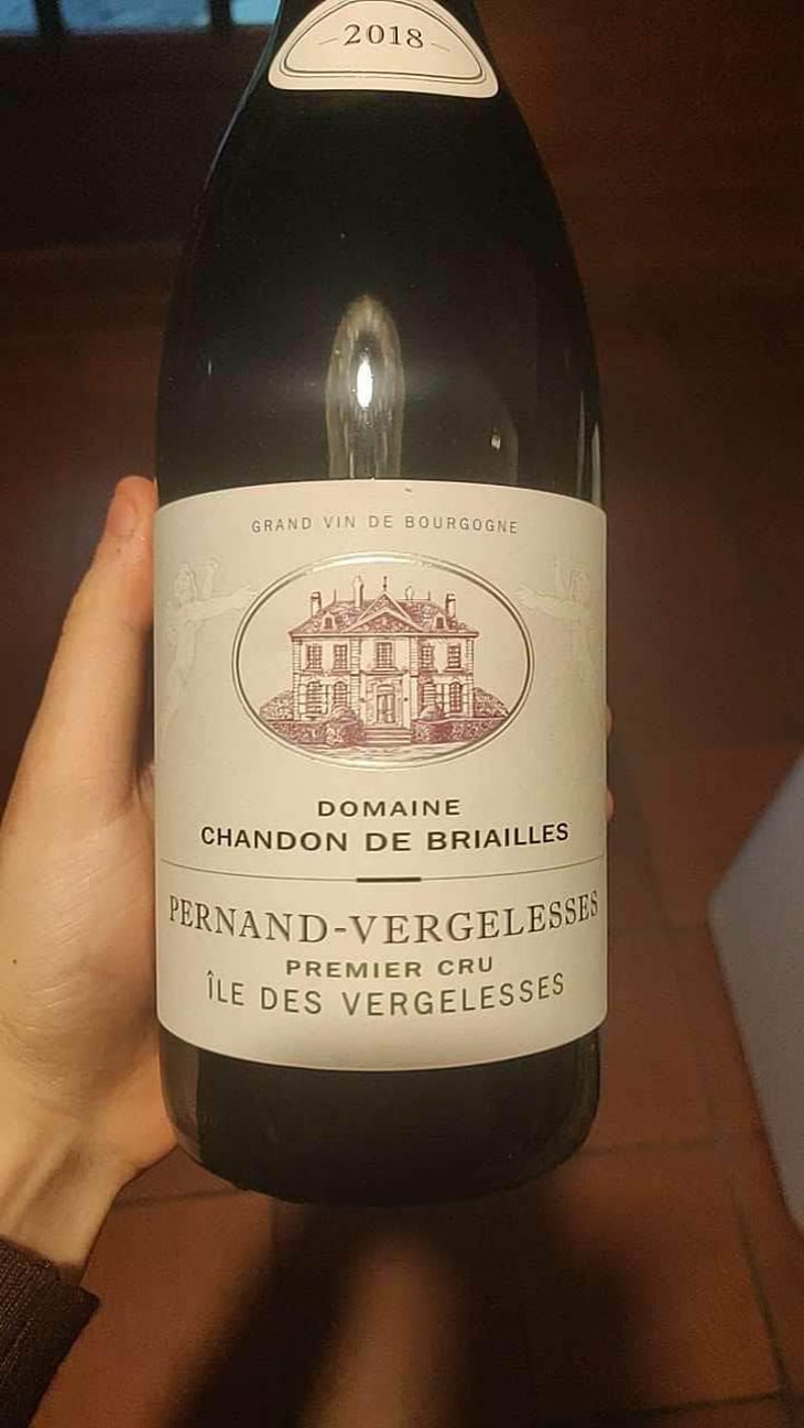 Pernand-Vergelesses 1er Cru "Ile des Vergelesses" - Domaine Chandon de Briailles - Claude & François de Nicolay 