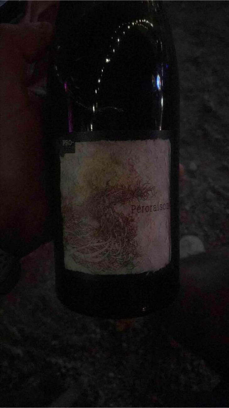 Péroraison (PROLEGO) - Domaine Riberach - Guilhem SOULIGNAC, J-M MAILLOLES , Patrick RODRIGUES & Luc RICHARD 