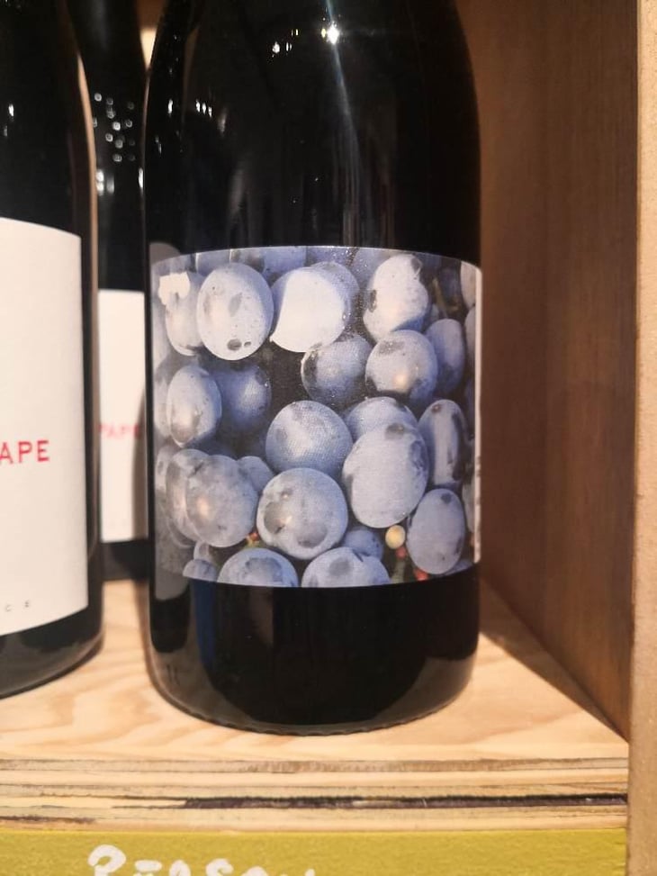 Persan - Domaine Finot - Thomas Finot 