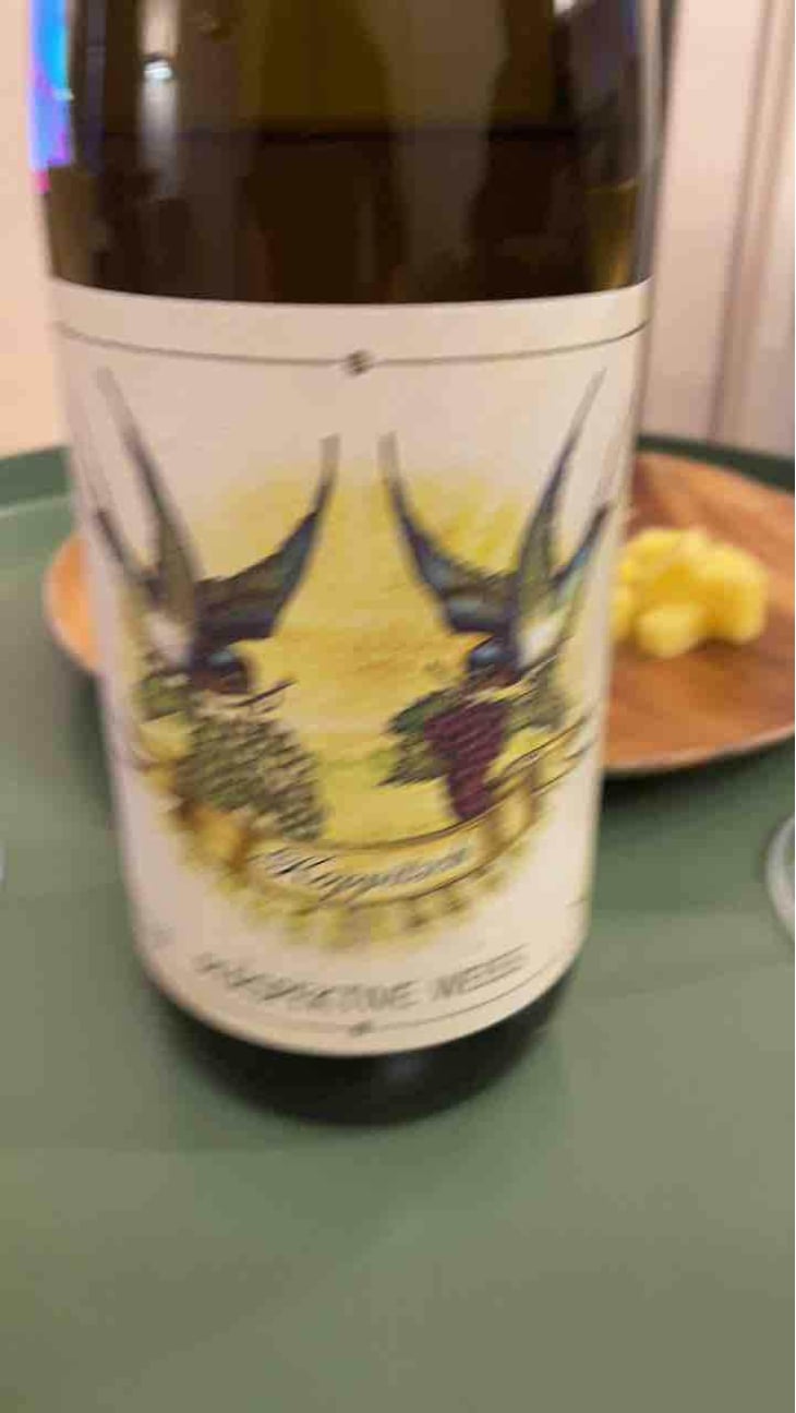 Perspektive Weiss - Weingut Koppitsch - Maria & Alex Koppitsch 