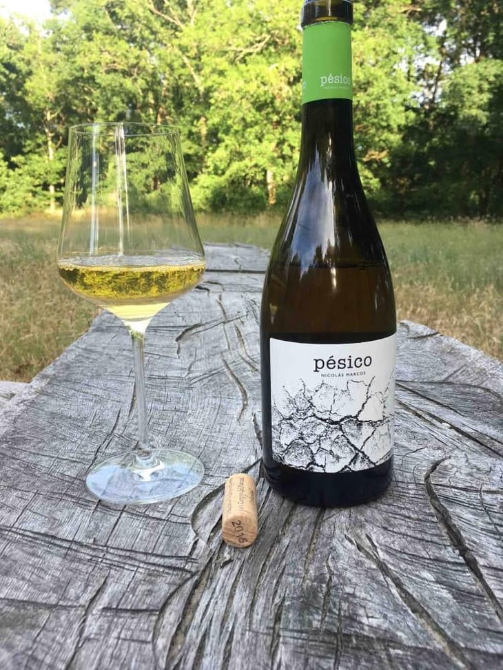 Pésico Blanco - Dominio del Urogallo - Nicolás Marcos 