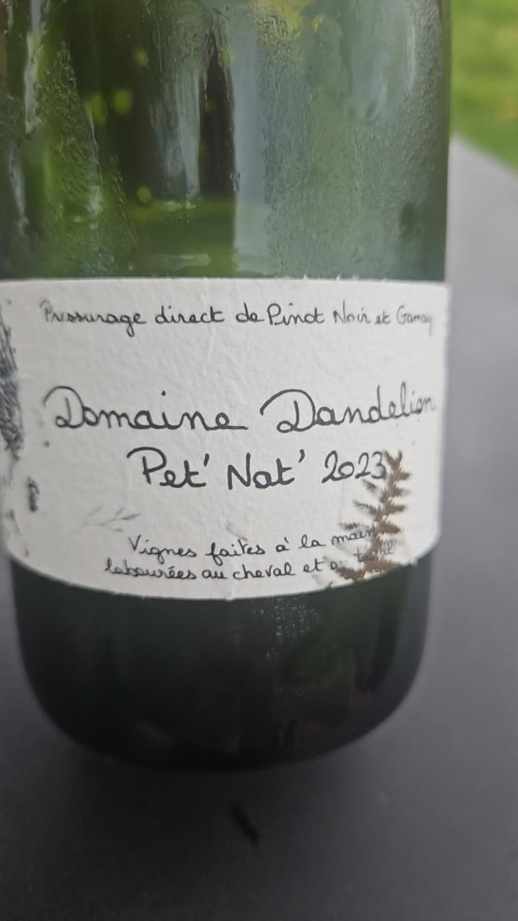 Pet nat - Domaine Dandelion - Morgane Seuillot & Christian Knott -2022