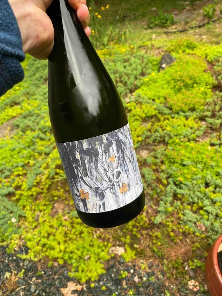 Pét-Nat Canvas - Gönc Winery / Grape Adbuction - Peter Gönc 