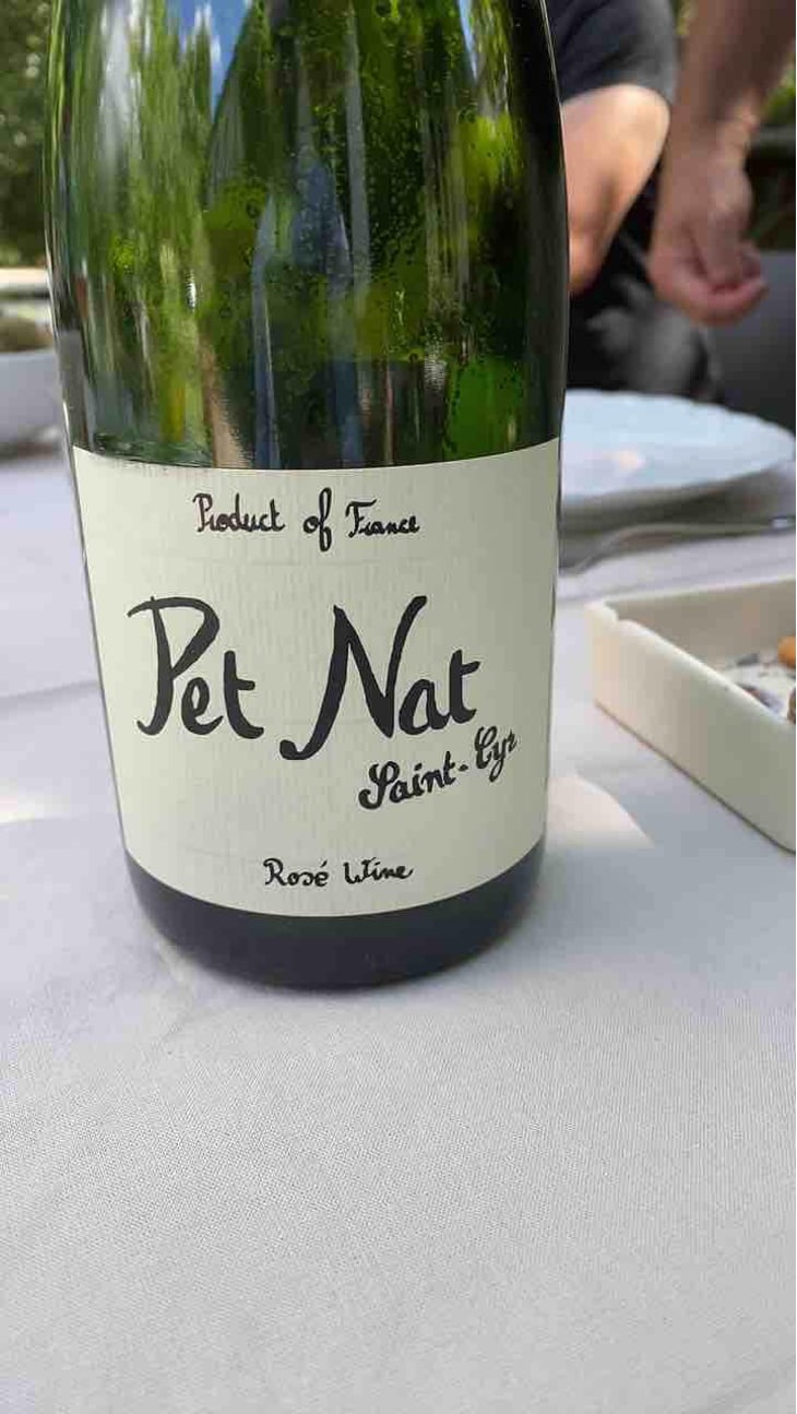 Pet Nat Rosé - Domaine Saint-Cyr - Raphaël Saint-Cyr 