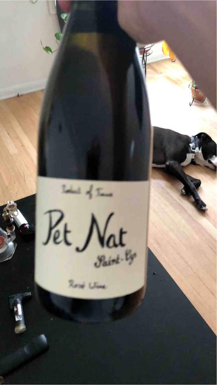 Pet Nat Rosé - Domaine Saint-Cyr - Raphaël Saint-Cyr 