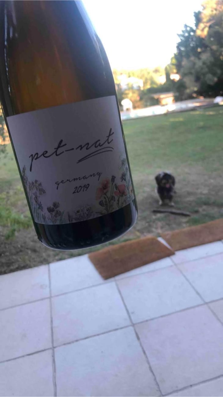 Pet Nat - Brand Bros - Weingut Brand - Daniel & Jonas Brand 