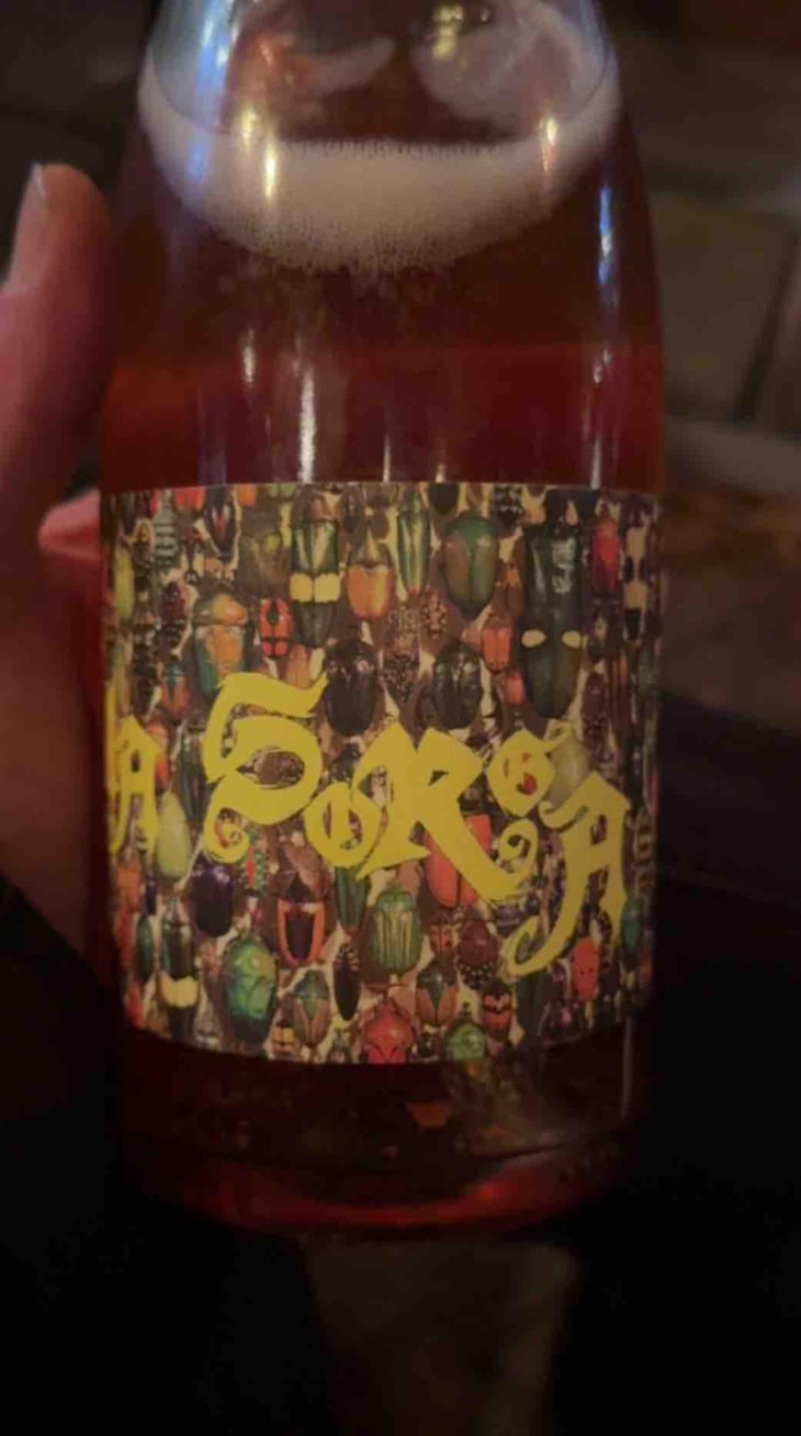 Pet' Nat Rosé (PNR) - La Sorga - Antony Tortul 