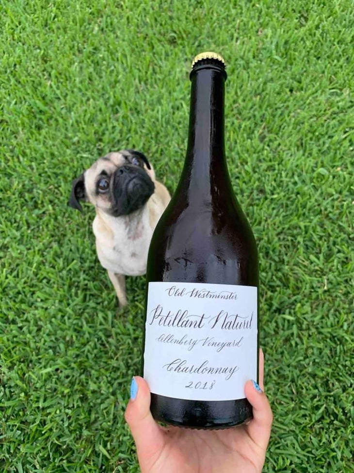 Pét-Nat - Old Westminster Winery - Drew Baker 