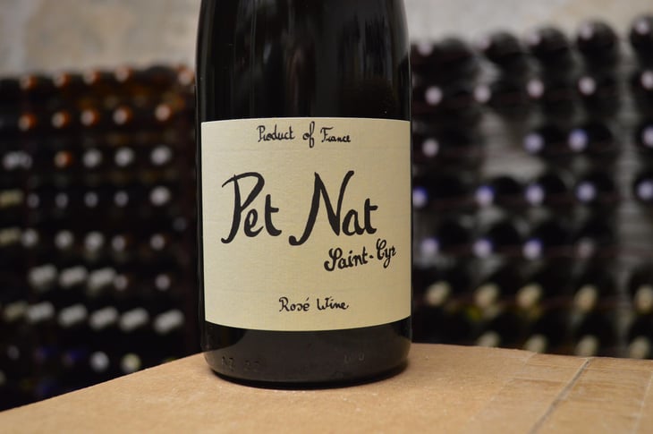 Pet Nat Rosé - Domaine Saint-Cyr - Raphaël Saint-Cyr 